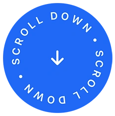 04 savee sticker